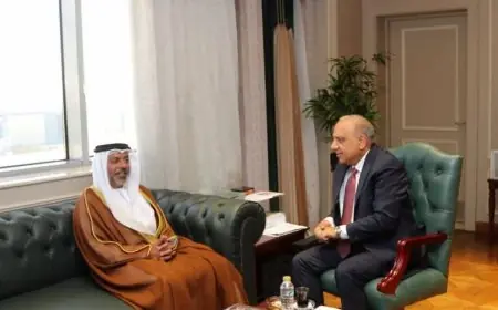 تعاون مصري إماراتي لتحقيق تحول طاقي متقدم وتحديث شامل لشبكة الكهرباء