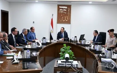 رئيس الوزراء مدبولي يخطط لتحويل مصر إلى مركز إقليمي رائد في التعليم العالي والبحث العلمي