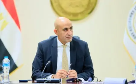 تفاصيل مسارات البكالوريا: من الطب والهندسة إلى الأعمال والآداب