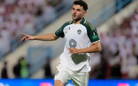 المتألق سبيرتسيان يحقق فوزاً كبيراً للأهلي ويصعد به إلى دور 16 في كأس خادم الحرمين الشريفين