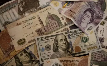 تحليل سعر الدولار اليوم الثلاثاء 18 أغسطس 2026 والتغيرات الأخيرة مقابل الجنيه في البنوك