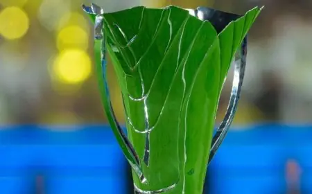 مجموعات دوري أبطال آسيا 2: مواجهة التعاون مع الريان والفيصلي والنهضة