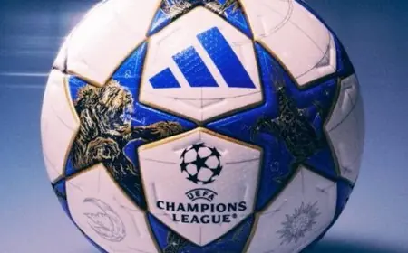 3 مواجهات حاسمة في تصفيات دوري أبطال أوروبا الليلة أبرزها لقاء فنربخشة ضد ليون