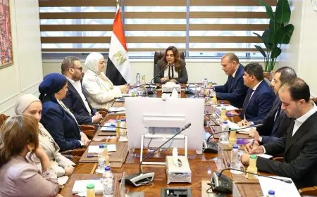 وزيرة التنمية المحلية والبيئة تناقش خطط مواجهة التغيرات المناخية مع محافظي قنا وكفر الشيخ والوكالة الألمانية