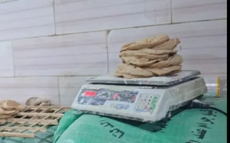 حملات مكثفة لضبط الخبز المدعم تحقق 19 محضرا في أول طنطا والسنطة