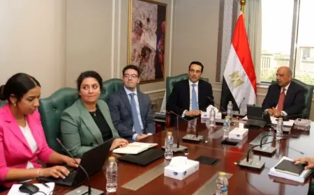 الكهرباء تعلن تشغيل المرحلة الثانية لمحطة أبليسك للطاقة الشمسية بقوة 500 ميجاوات
