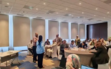 التعليم تكثف تدريبات معلمي اللغة العربية تمهيدا لتطبيق نظام البكالوريا المصرية