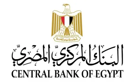 البنك المركزي يتوقع نمو الاقتصاد المصري بنسبة 5%