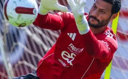 محمد الشناوي يبدع ويتصدى لركلة جزاء حاسمة من أنتوني جوردون في الدقيقة الأخيرة من المباراة