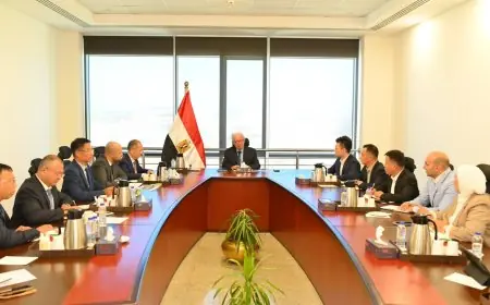 حسن عيسى يناقش إنشاء مجمع صناعي بالمنطقة الاقتصادية لقناة السويس باستثمارات 2 مليار دولار مع مجموعة صينية