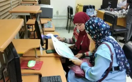 كيفية التقديم وتحقيق شروط تحويلات تقليل الاغتراب 2026