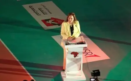 رسمياً نقل بطولة أمم أفريقيا للكرة الطائرة للرجال 2026 من كينشاسا إلى تونس