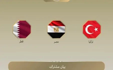 مصر وقطر وتركيا تندد بالاعتداءات الإسرائيلية الأخيرة في غزة