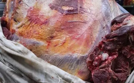 ضبط 158 كجم من اللحوم والدواجن الفاسدة في أسيوط تشكل خطرًا على الصحة العامة