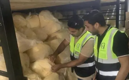 ضبط 10 أطنان زبدة وقشدة مجهولة المصدر داخل ثلاجة في محافظة الغربية