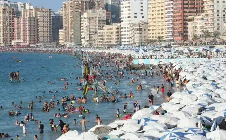 أول رد لمحافظة الإسكندرية على مقتل سيدة بالشاطئ على يد عامل والقرار بفسخ التعاقد