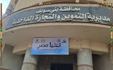 تحرير أكثر من 350 محضر مخالفات تموينية وبيئية وصحية في بني سويف