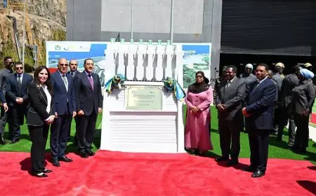 وزيرا الري والإسكان يفتتحان رسميًا سد جوليوس نيريري في تنزانيا