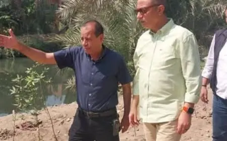 محافظ الجيزة يعلن زراعة 3350 شجرة في أبو النمرس لدعم مبادرة ازرع شجرة