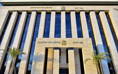 فرص عمل كبرى في وزارة العمل 2026: اكتشف 1489 وظيفة جديدة في 13 محافظة