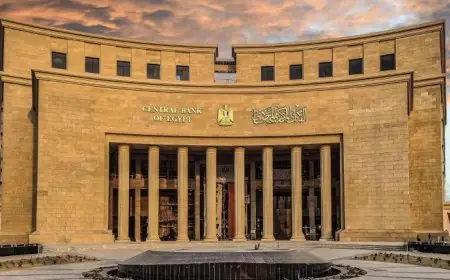 البنك المركزي يطلق خدمة فتح الحسابات البنكية أونلاين بدون الحاجة لزيارة الفروع
