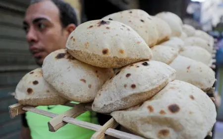 كيفية استلام العيش مجاناً: تفاصيل الدعم النقدي وتأثيره على منظومة الخبز