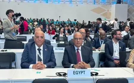 تكامل المياه والأراضي والمناخ: حاجة ملحة لمواجهة تحديات المستقبل وفقاً لوزير الري