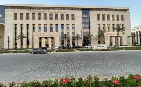منحة علماء المستقبل 2026: شروط التقديم وموعد التسجيل كما أعلنتها وزارة التعليم العالي