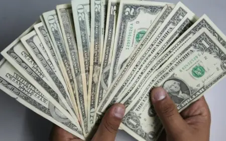 تعرف على أسعار الدولار اليوم الثلاثاء 25 أغسطس 2026 في البنوك الحكومية والخاصة
