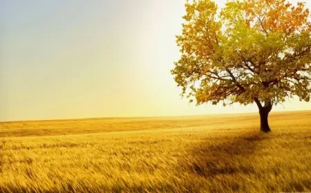 الخسائر المالية العالمية للتغيرات المناخية تصل إلى 822 مليار دولار