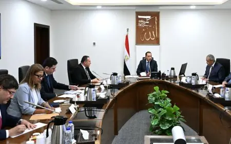 رئيس الوزراء يعزز تطوير نظام عمل الطلاب الوافدين: متابعة مستمرة وجهود فعّالة