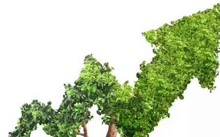 تقرير معلومات الوزراء يكشف عن إنجازات مصر في التحول نحو الاقتصاد الأخضر