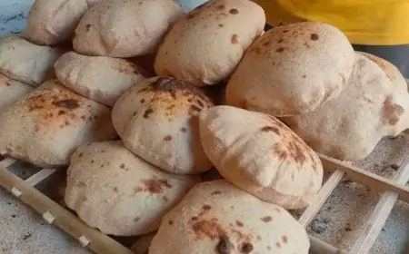 العيش مجاناً عبر منظومة الدعم النقدي: خبر سار ينتظرك