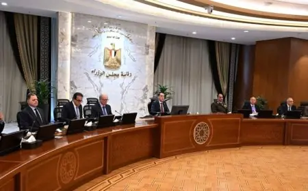 الحكومة تُقِرُّ بنظام العمل عن بُعد ليوم الأحد أسبوعيًا في سبتمبر