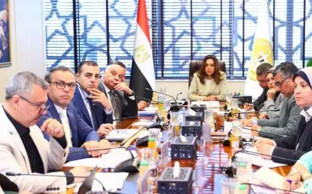 وزيرة التنمية المحلية تعلن عن إطلاق مشروعات بيئية شاملة للحد من التلوث والتكيف مع التغيرات المناخية