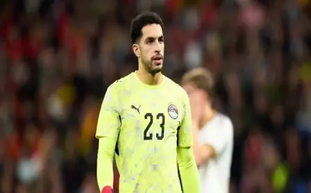 أحمد شوبير يكشف: الأهلي يوقع اليوم مع نجم جديد ومصطفى شوبير على رأس القائمة