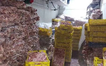 محافظ الجيزة: ضبط 225 طنًا من السلع المخالفة وتحصيل 10.3 مليون جنيه كغرامات من أصحاب المخابز