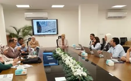 تنظيم الإعلانات يدفع القاهرة الكبرى لتصدر جهود استعادة جمال المشهد الحضاري للإعلانات