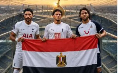 قصة المصريين مع توتنهام: من ميدو إلى مرموش بين التألق والإثارة والجدل