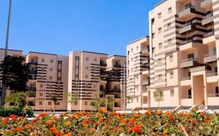 بناء المدن الجديدة يفتح آفاقاً لاستيعاب الزيادة السكانية أستاذ التنمية يشرح كيف