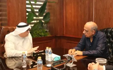 وزير الكهرباء يناقش تعزيز الشراكة مع مصدر الإماراتية في مشروعات الطاقة المتجددة في مصر