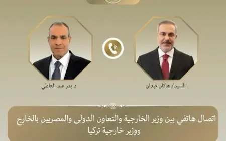 وزيرا خارجية مصر وتركيا يشددان على أهمية التهدئة وتقليل التوترات