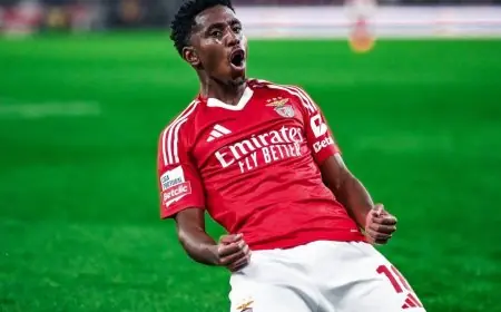 الاتحاد السعودي يسعى لضم باريرو لاعب وسط بنفيكا بناءً على طلب فيسينغ