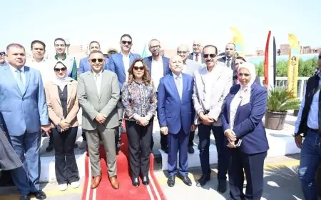 افتتاح مشروع تطوير كوبري الأميرية الجديد أعلى ترعة الإسماعيلية يجذب الأنظار
