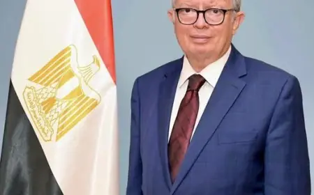 حسين عيسى يمثل الرئيس السيسي في قيرغيزستان لحضور قمة شنغهاي