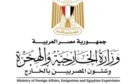 مصر تعلن تضامنها الكامل مع قبرص بعد حادث انقلاب قارب قبالة سواحل شمال قبرص