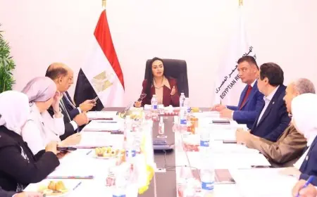 الهلال الأحمر المصري يحقق إنجازًا كبيرًا بتسليم مليون طن مساعدات لغزة منذ أكتوبر 2023
