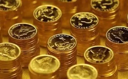 سعر الجنيه الذهب اليوم الاثنين 31 أغسطس 2026.. كم سعر 4 جرامات؟