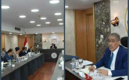 ضياء رشوان: أهمية التنسيق بين المتحدثين الرسميين ووسائل الإعلام في التصدي للشائعات