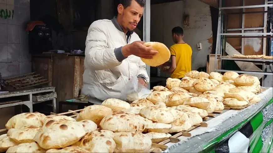 كل ما تحتاج معرفته عن تفاصيل تطبيق منظومة الخبز الجديدة بنظام الخصم المباشر بعد ساعات من بدء التنفيذ